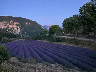 private Galerie- derGoldschmied